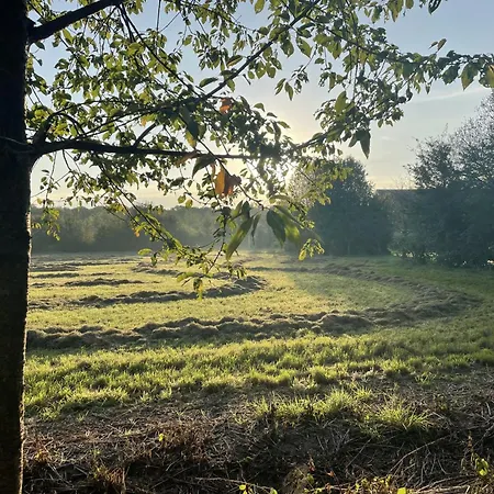 Familie Versantvoort Bed & Breakfast Handel