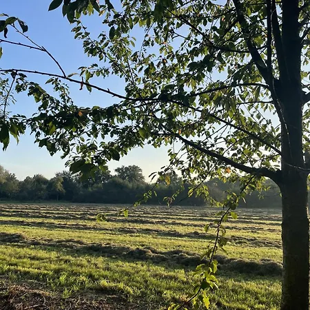 住宿加早餐酒店 瓦坎提汇家庭住宿加早餐旅馆 Handel